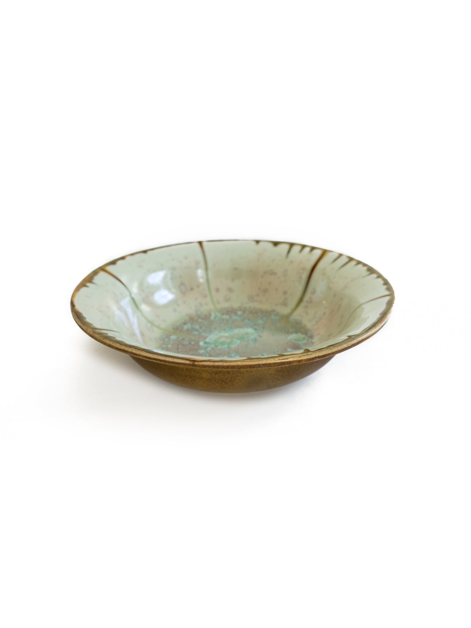Mint and Tortoise Oyster Pasta Bowl Weston Table