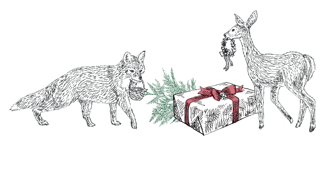 Illustration of a fox and deer with a gift and pine branch on a transparent background