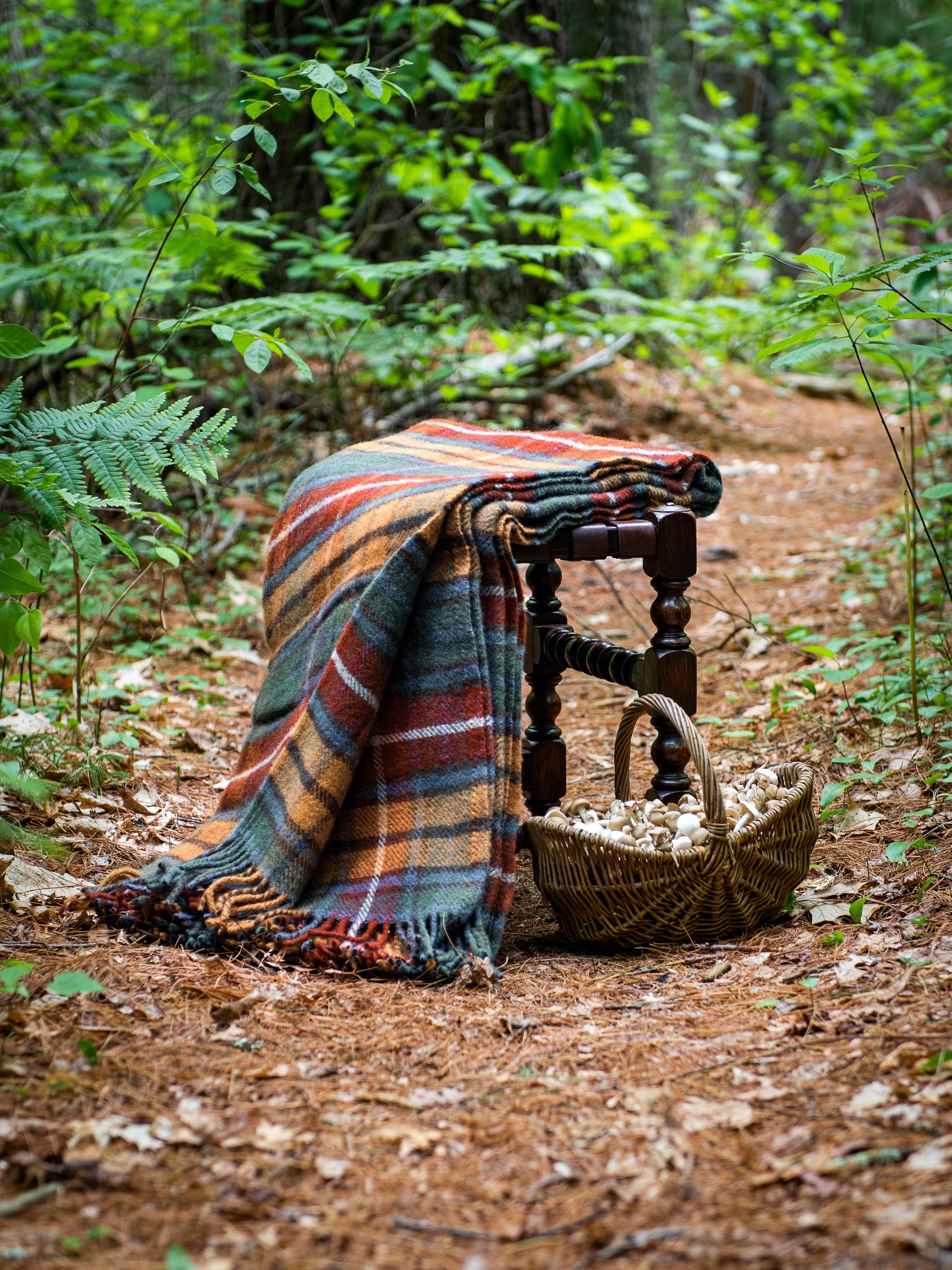 Shop the Antique Buchanan Throw at Weston Table