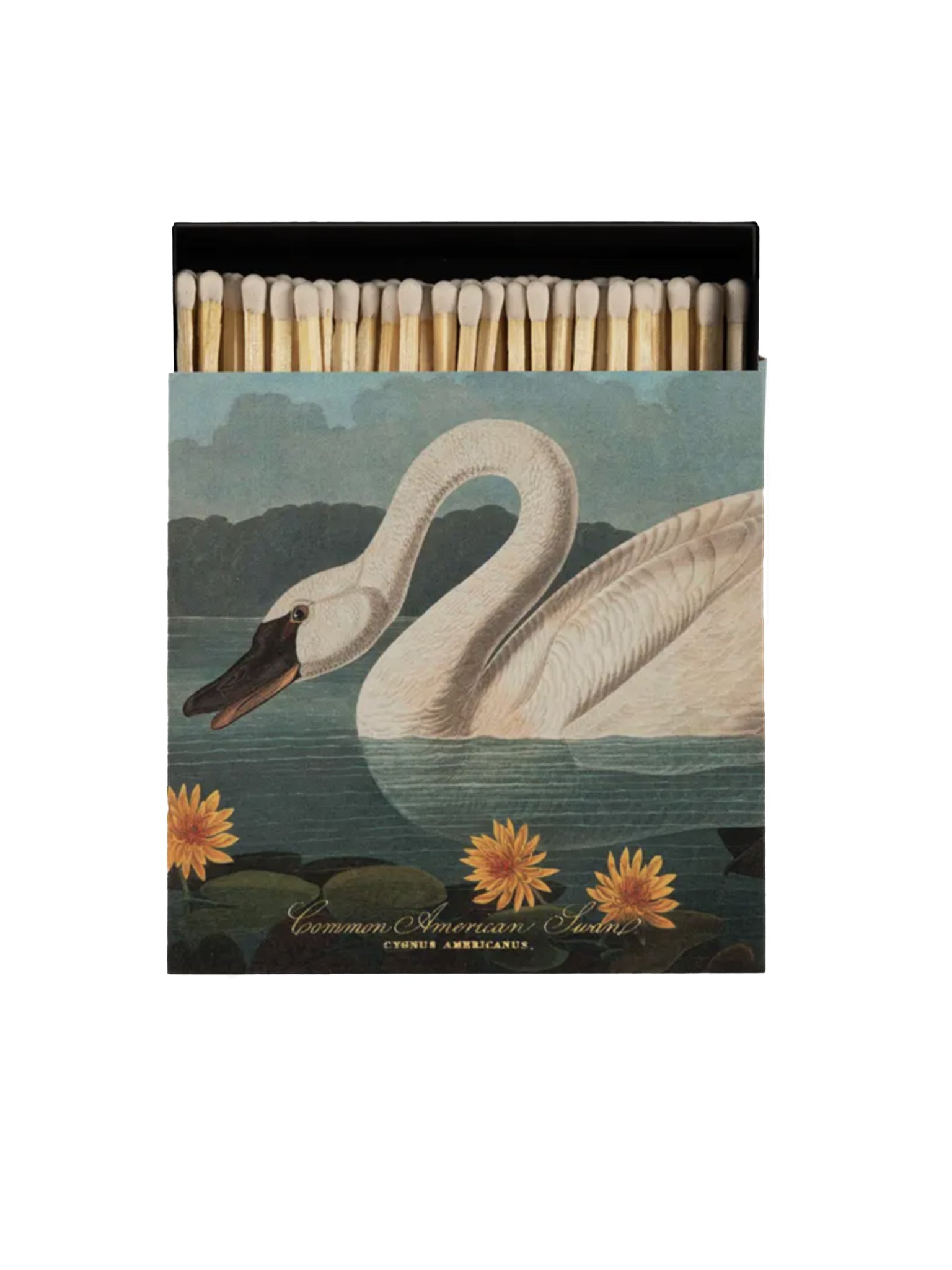 Archivist-Gallery-Common-American-Swan-Matchbox-Weston-Table