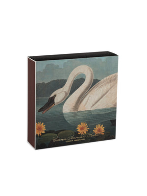  Archivist Gallery Common American Swan Matchbox 