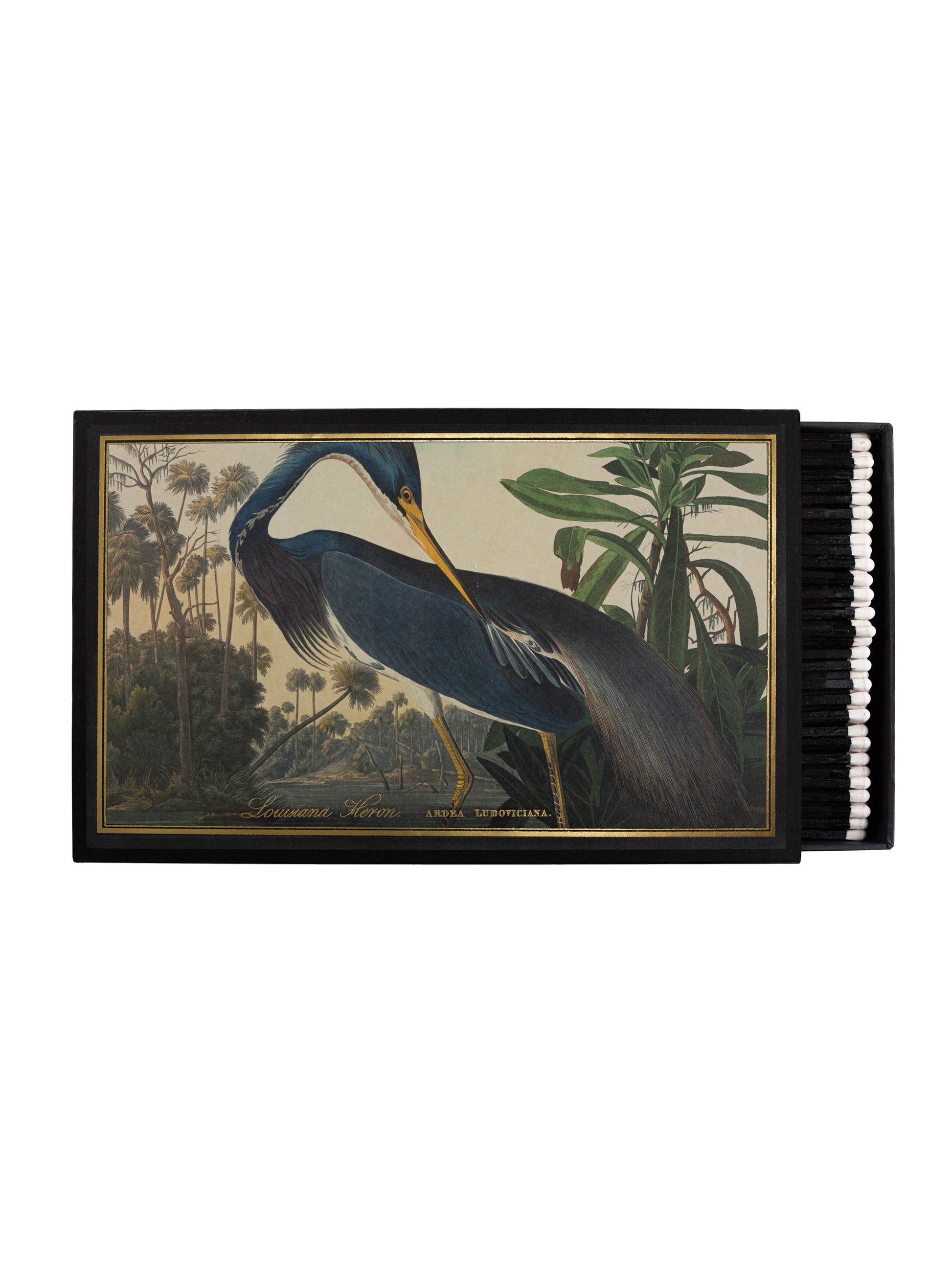 Archivist Gallery Louisiana Heron Big Matchbox Weston Table