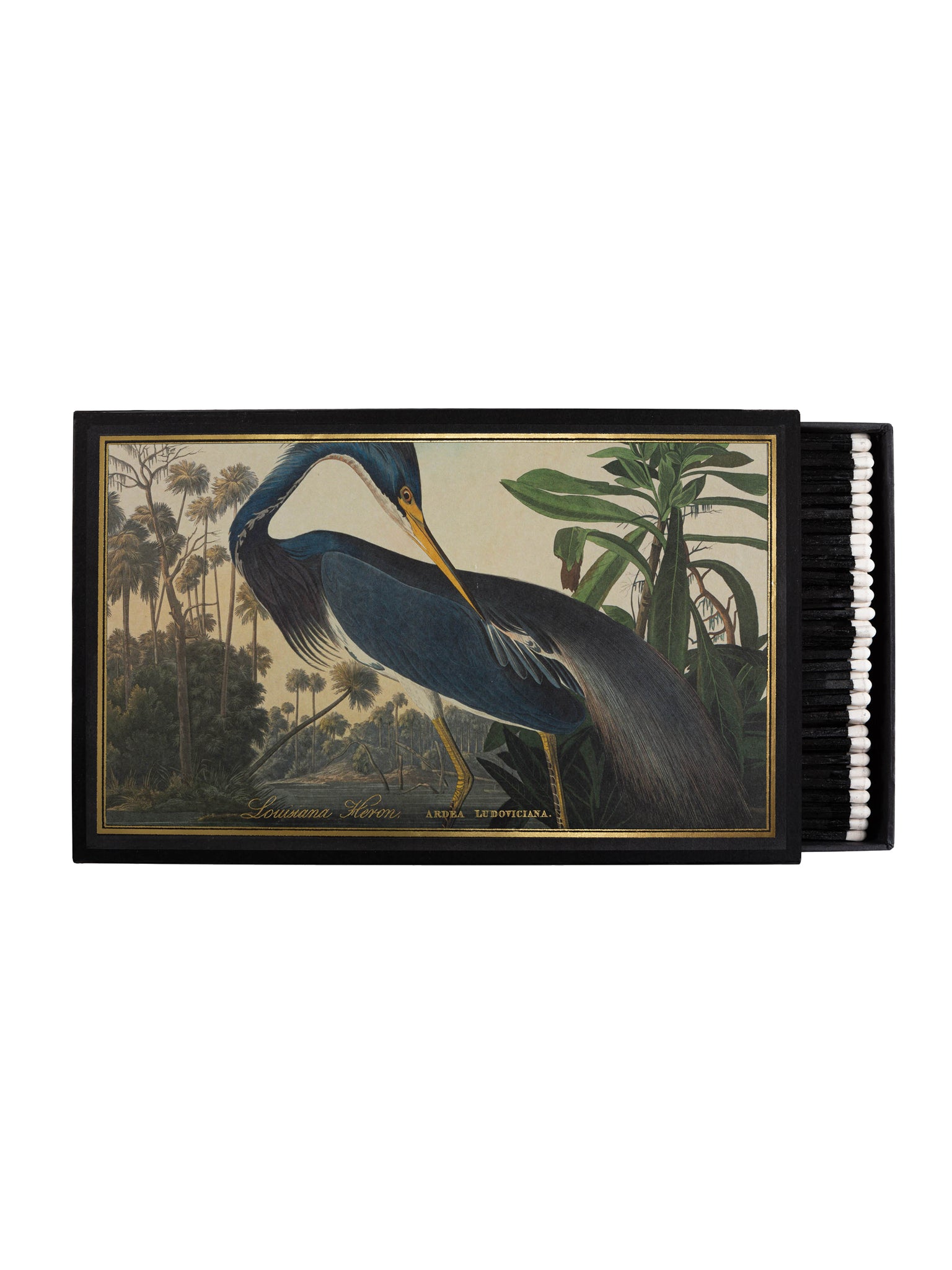 Archivist Gallery Louisiana Heron Big Matchbox Weston Table