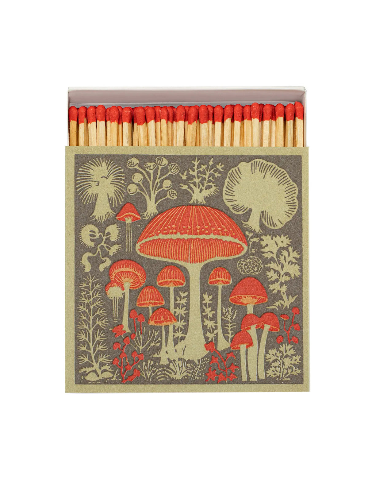 Archivist Gallery Mushrooms Matchbox Weston Table
