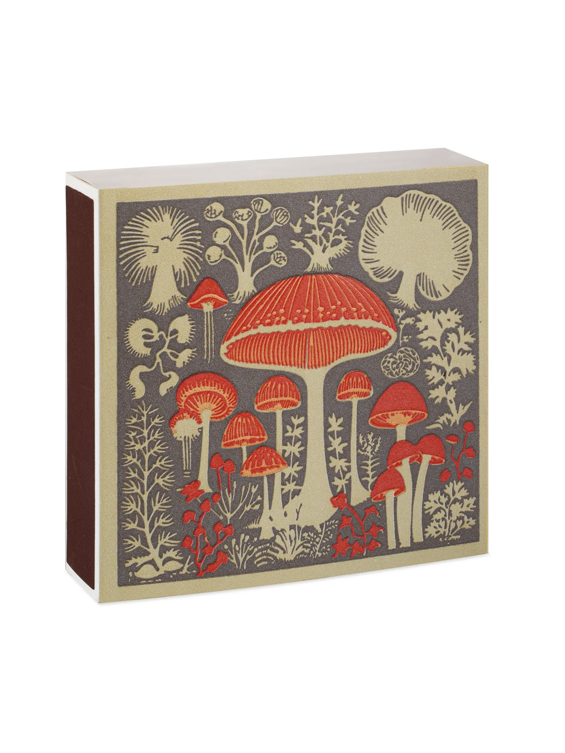 Archivist Gallery Mushrooms Matchbox Weston Table