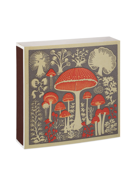 Archivist Gallery Mushrooms Matchbox Weston Table
