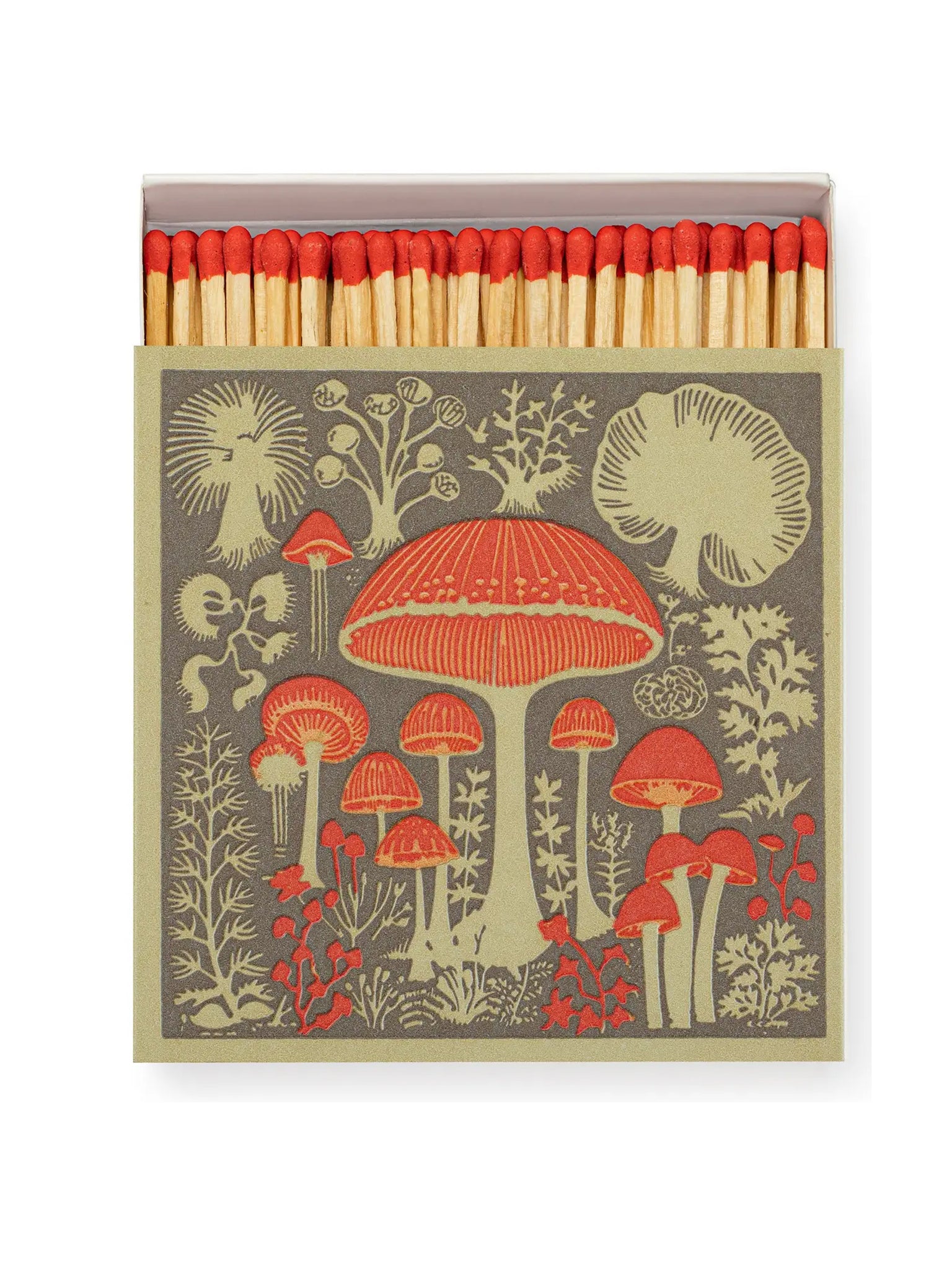 Archivist Gallery Mushrooms Matchbox Weston Table