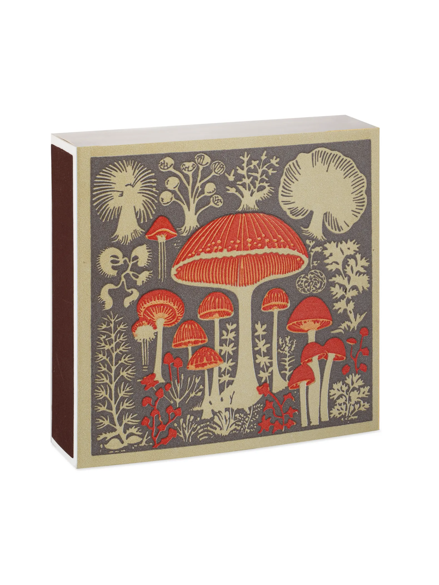 Archivist Gallery Mushrooms Matchbox Weston Table