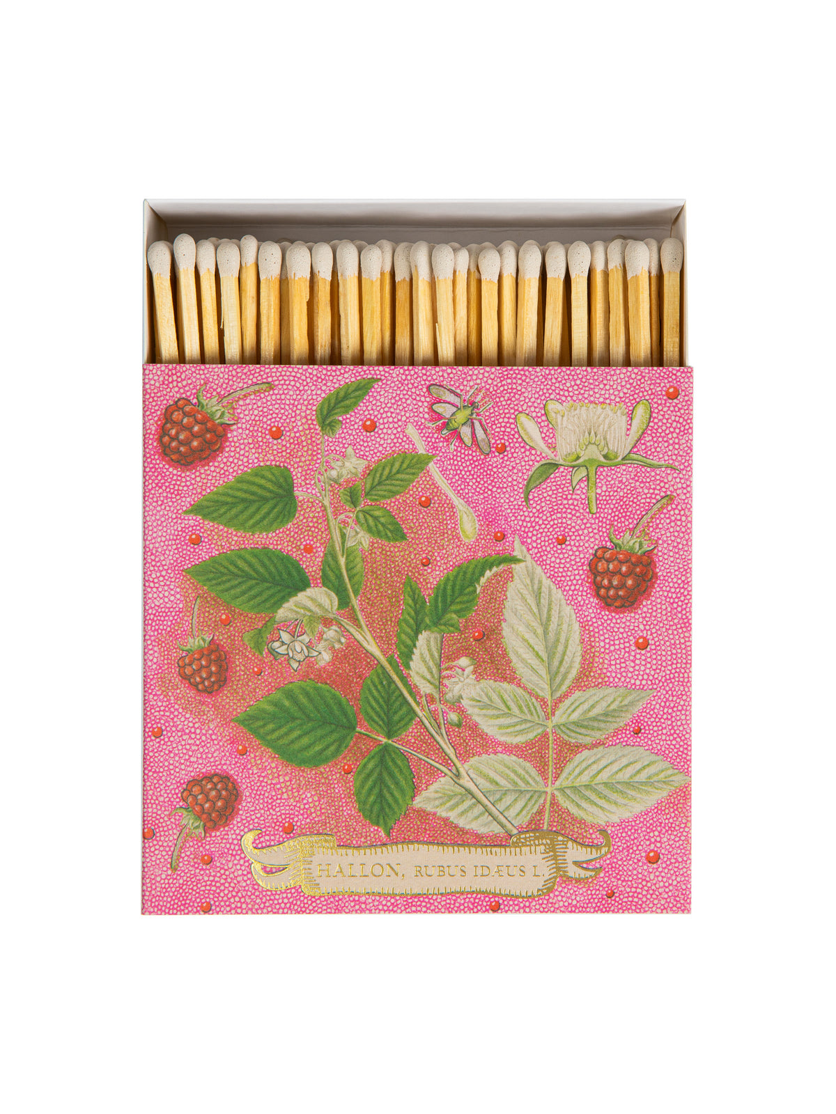 Archivist Gallery Rose Framboise Matchbox Weston Table