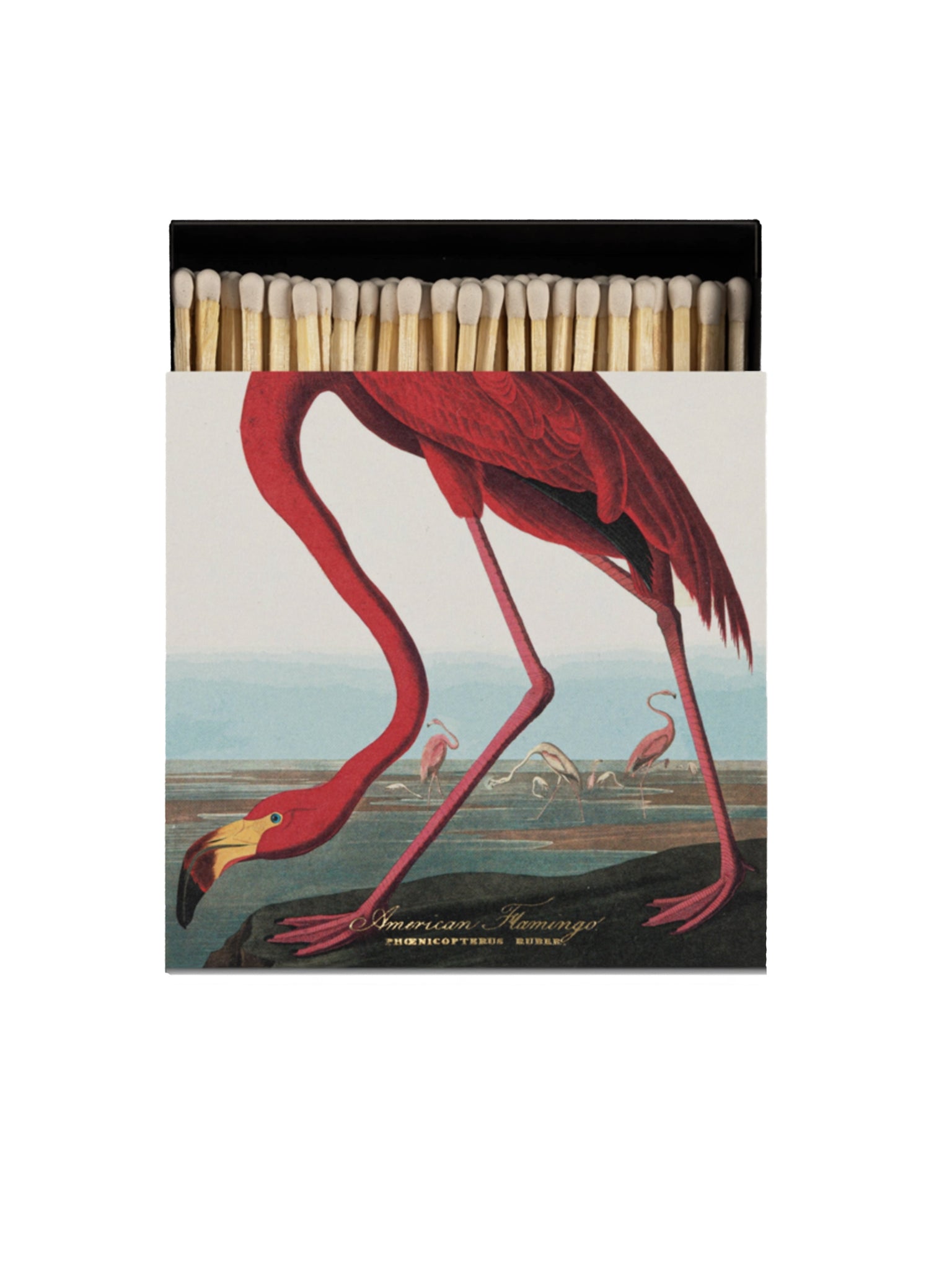Archivist Gallery The American Flamingo Matchbox Weston Table