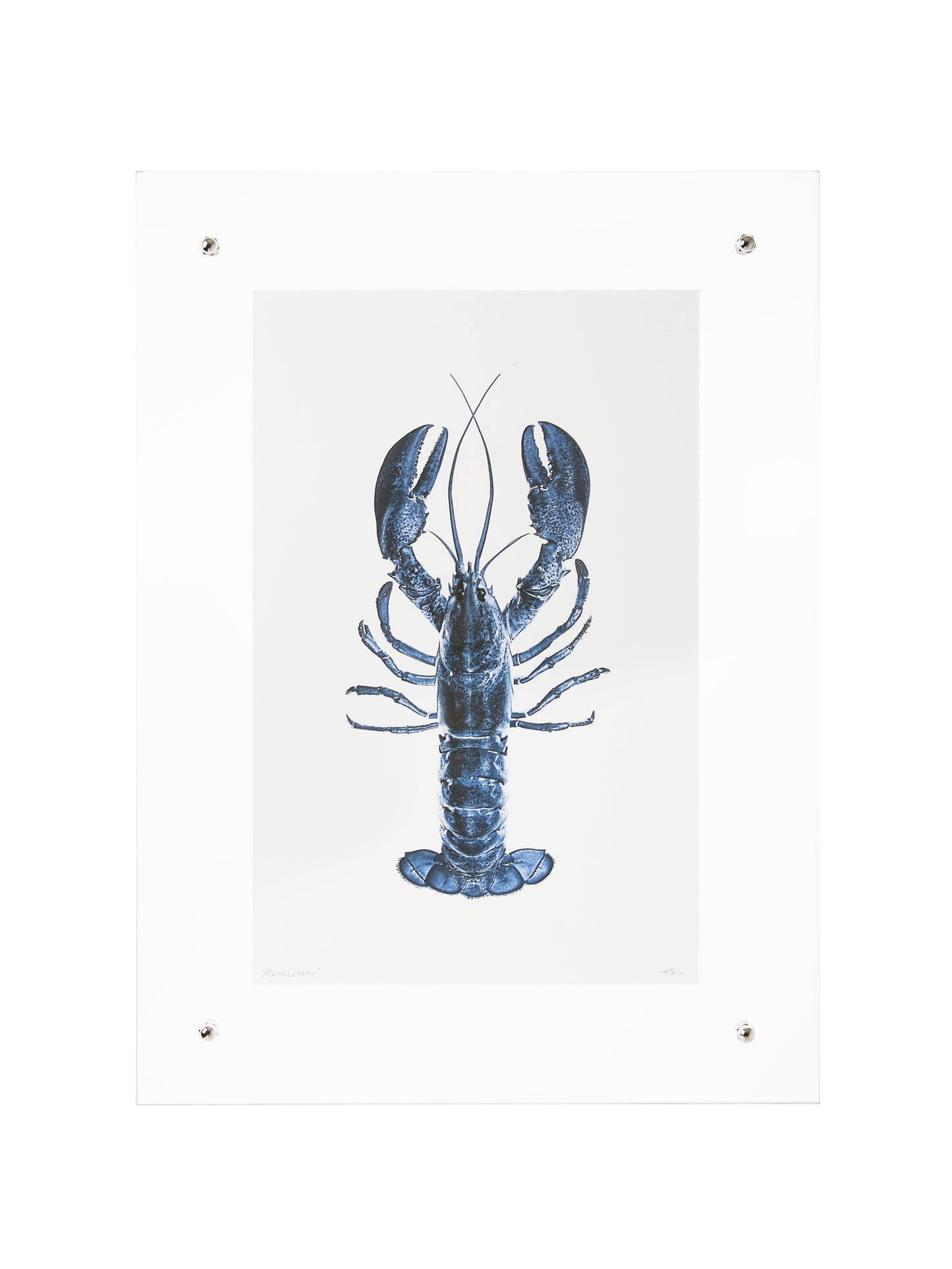 Blue Lobster Wall Art Weston Table