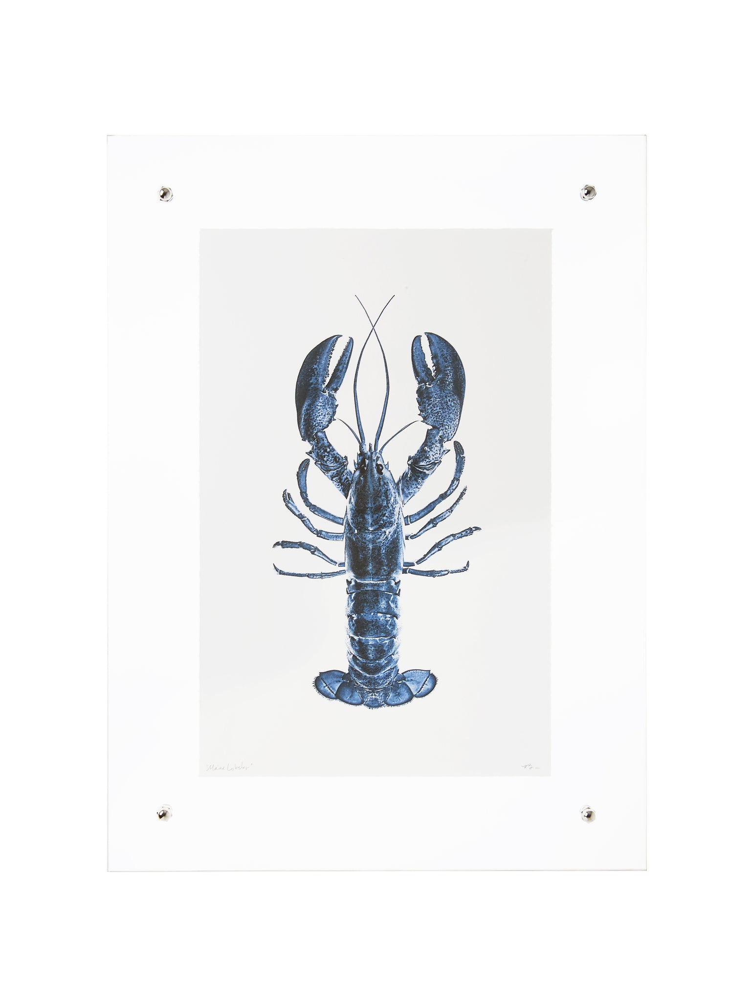 Blue Lobster Wall Art Weston Table
