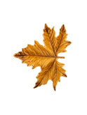 Bordallo Pinheiro Yellow Maple Leaf Plate Weston Table