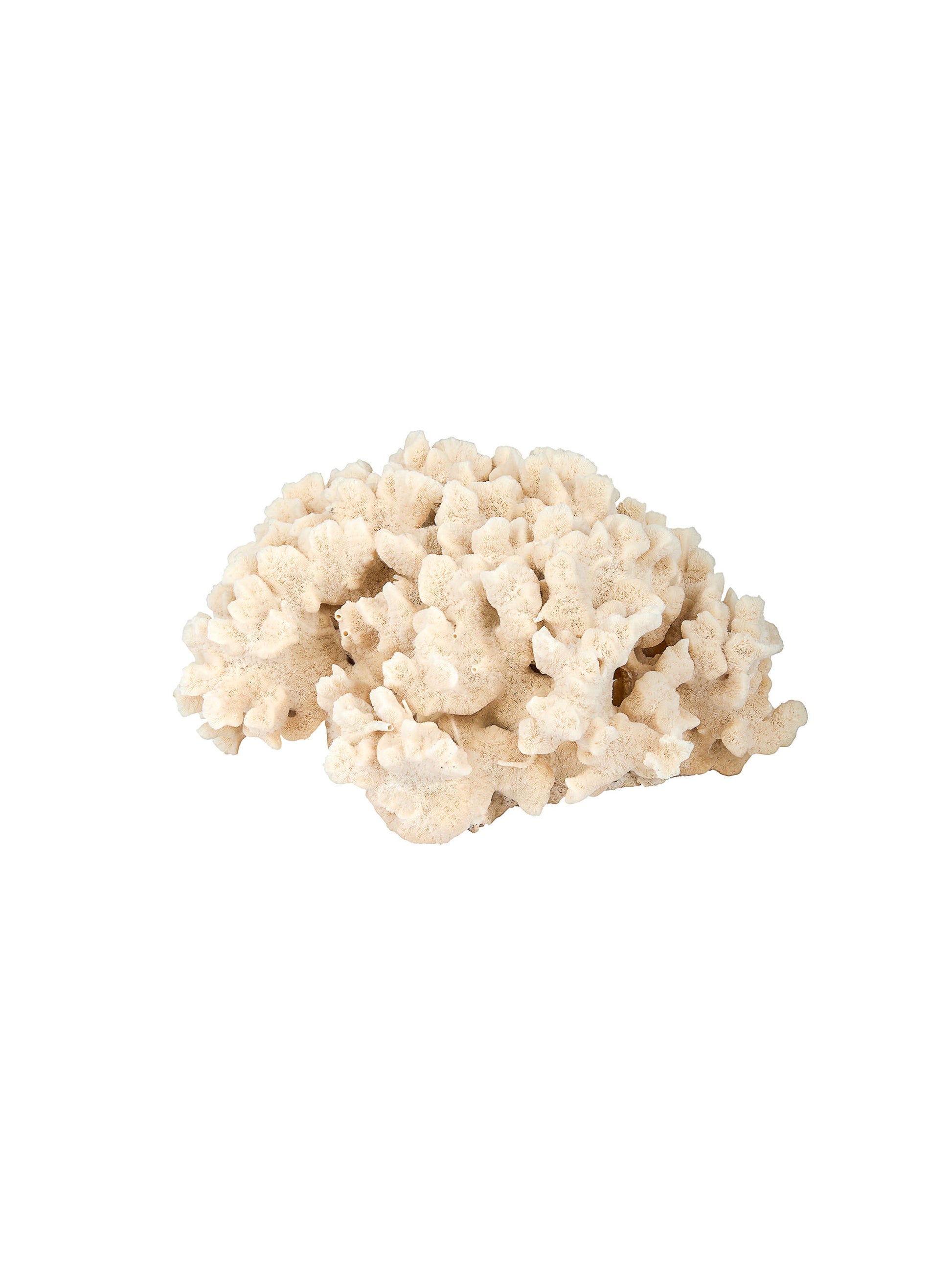 Cakuo Coral Weston Table