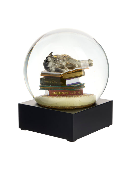 Cat on Books Snow Globe Weston Table