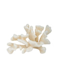 Catapaul Coral Weston Table