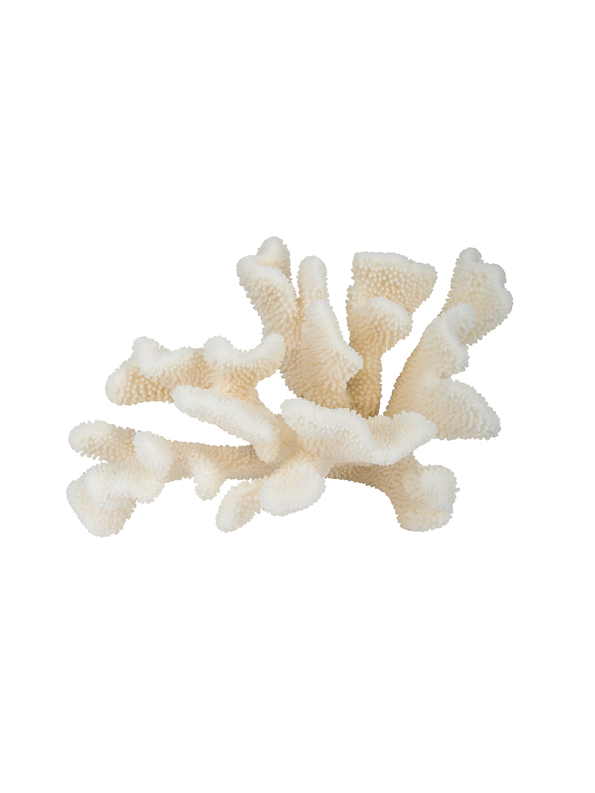 Catapaul Coral Weston Table