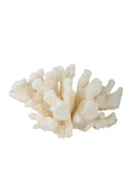 Catapaul Coral Weston Table