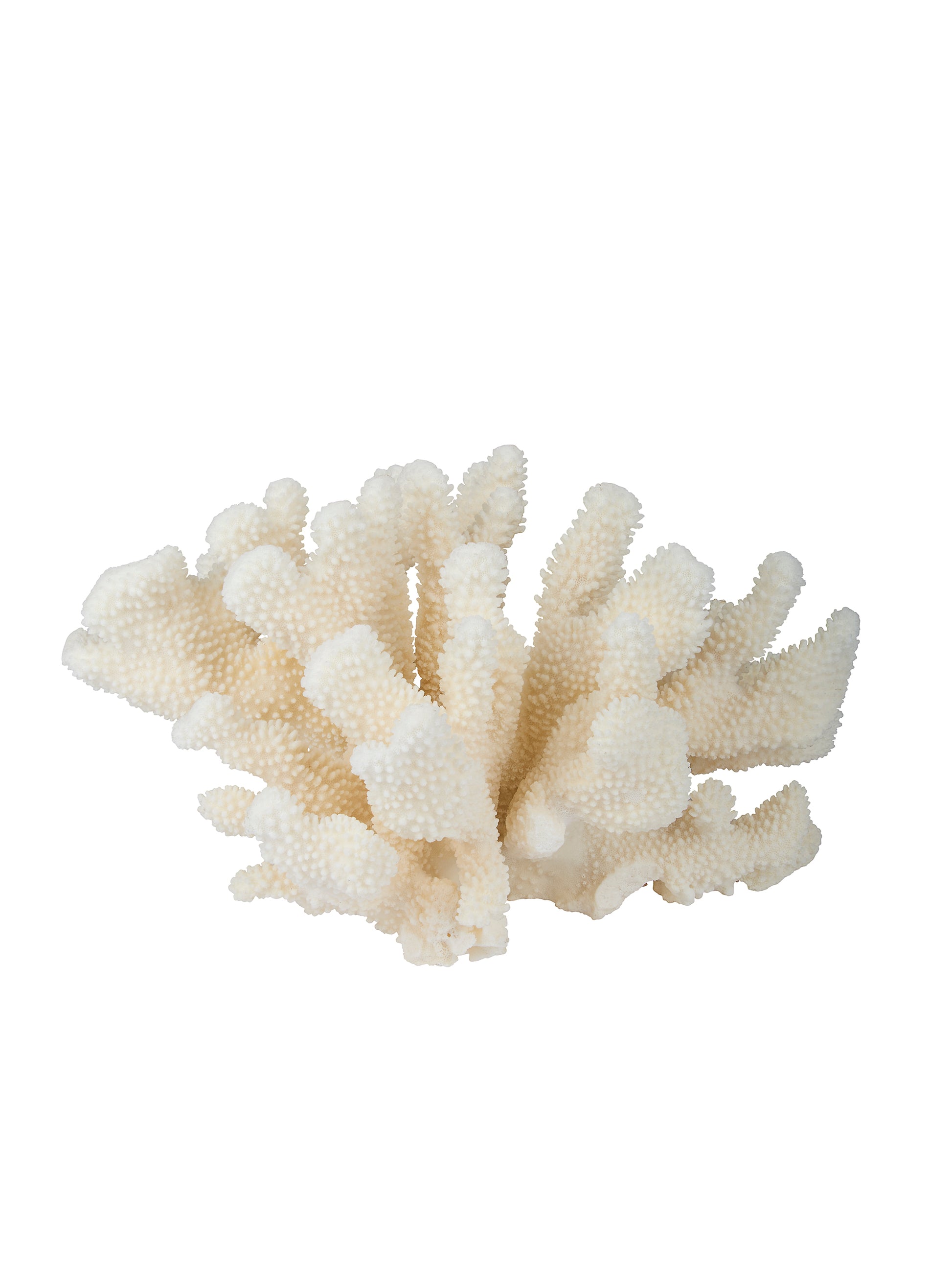 Catapaul Coral Weston Table