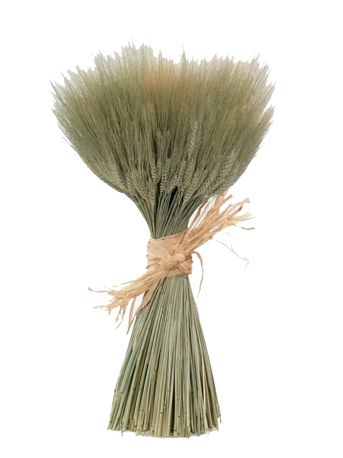 Dried Green Wheat Sheaf Weston Table