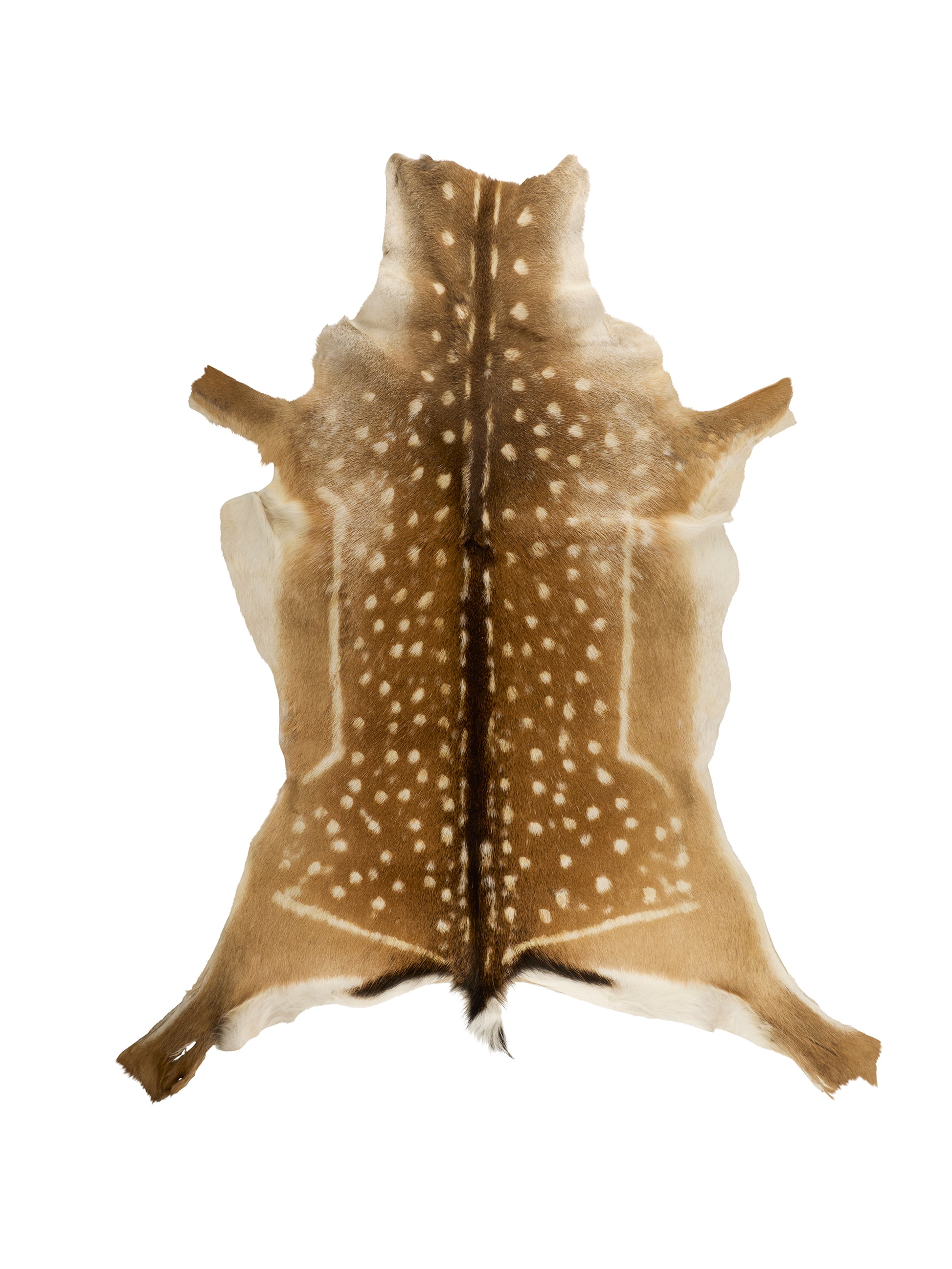 Fallow Deer Hide Eight Weston Table