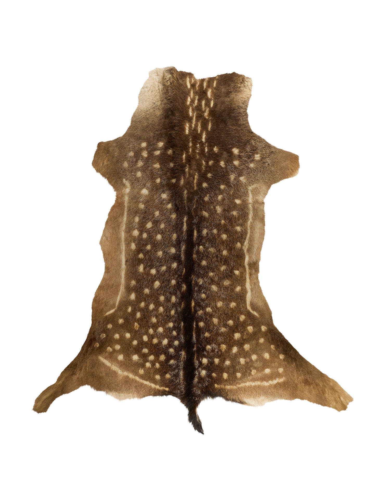 Fallow Deer Hide Nine Weston Table