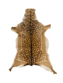 Fallow Deer Hide Six Weston Table