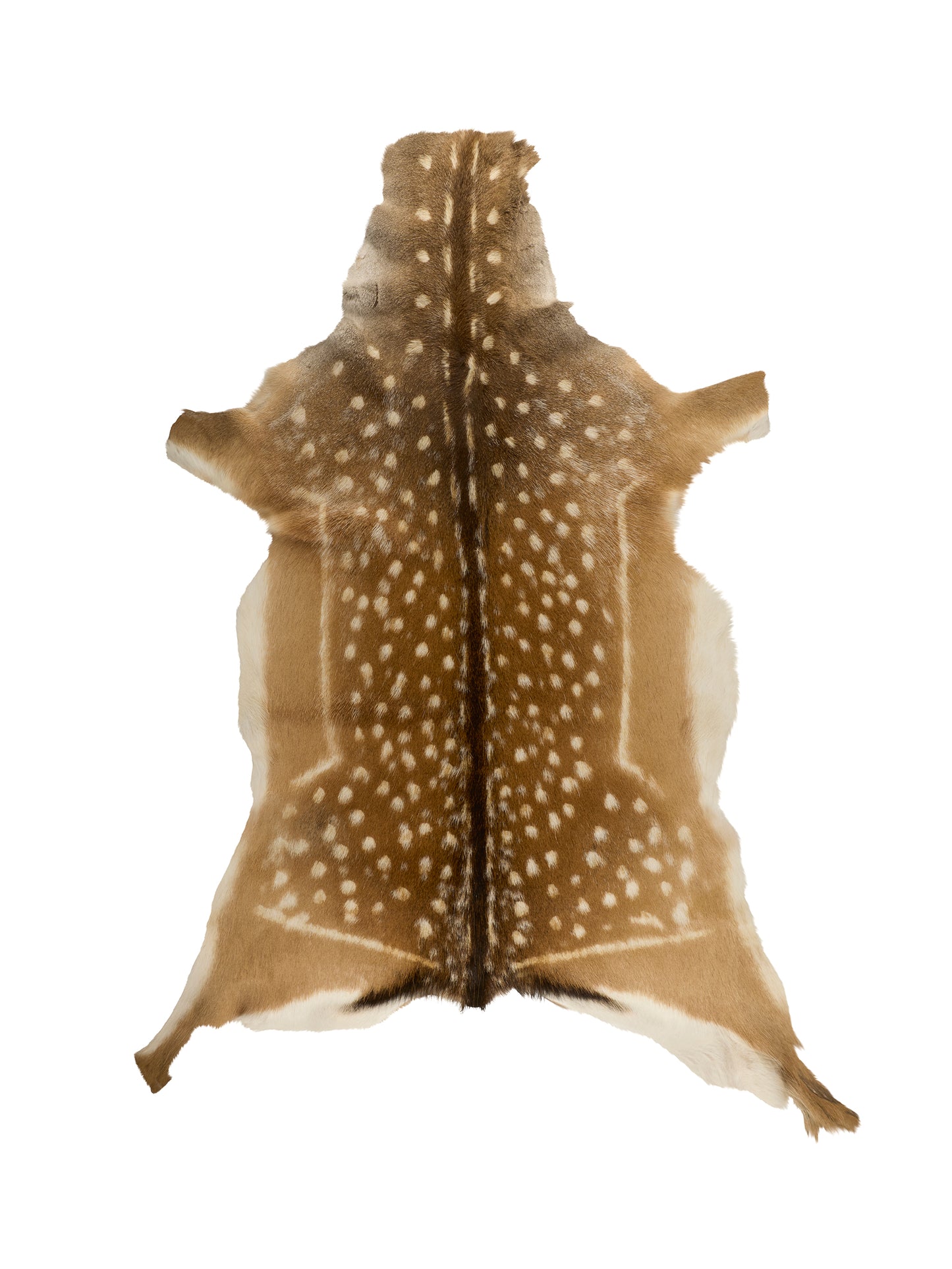 Fallow Deer Hide Six Weston Table