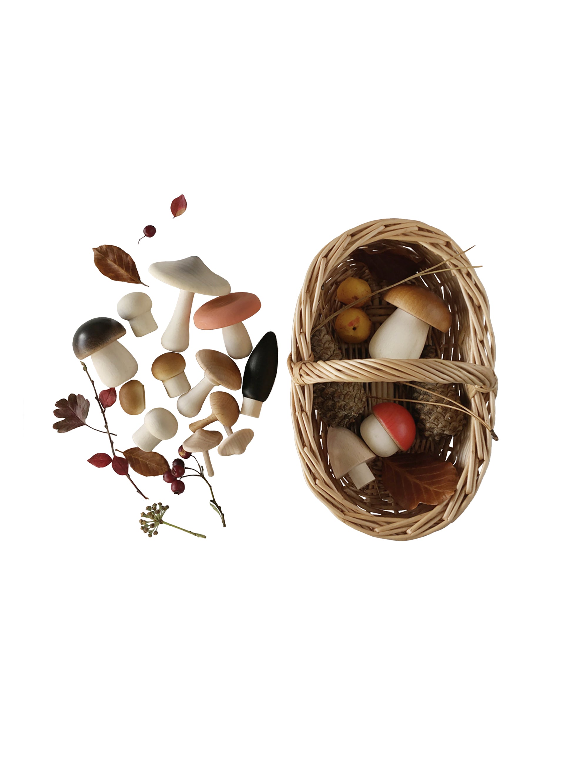 Forest Mushrooms and Foraging Basket Weston Table