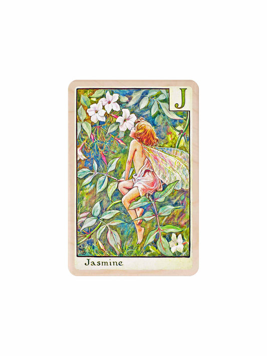 Jasmine Flower Fairy Wooden Postcard Weston Table