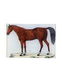 John Derian A Horse Mini Tray Weston Table