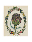 John Derian Artichoke Rectangular Tray Weston Table