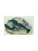 John Derian Blue Lobster Rectangular Tray Weston Table