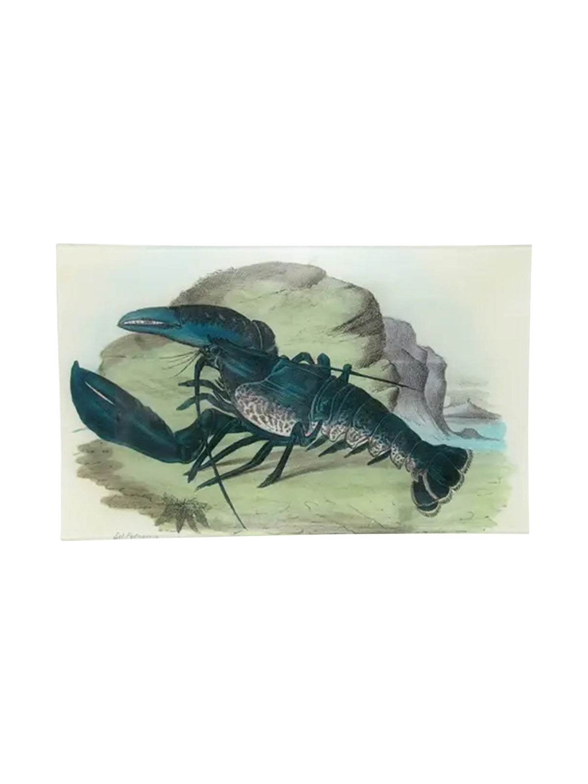 John Derian Blue Lobster Rectangular Tray Weston Table