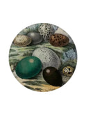 John Derian Eggs 1858 Round Plate Weston Table