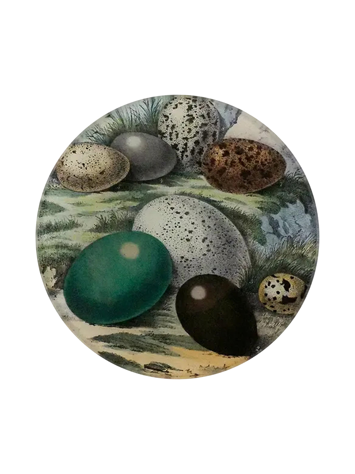 John Derian Eggs 1858 Round Plate Weston Table