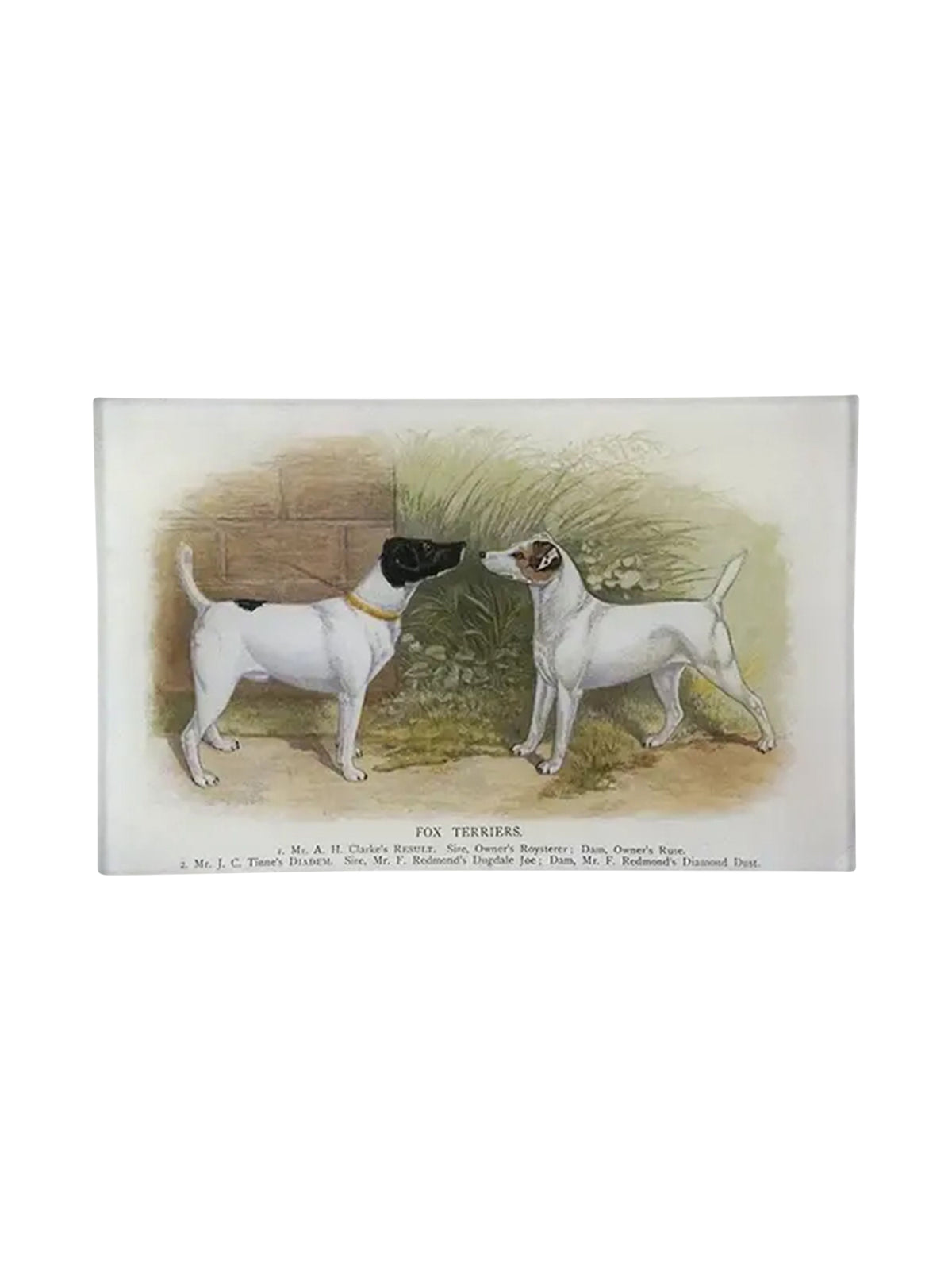 John Derian Fox Terriers Mini Tray Weston Table