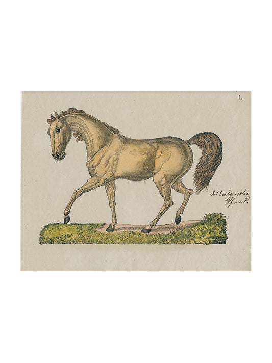 John Derian Horse Posing Rectangular Tray Weston Table