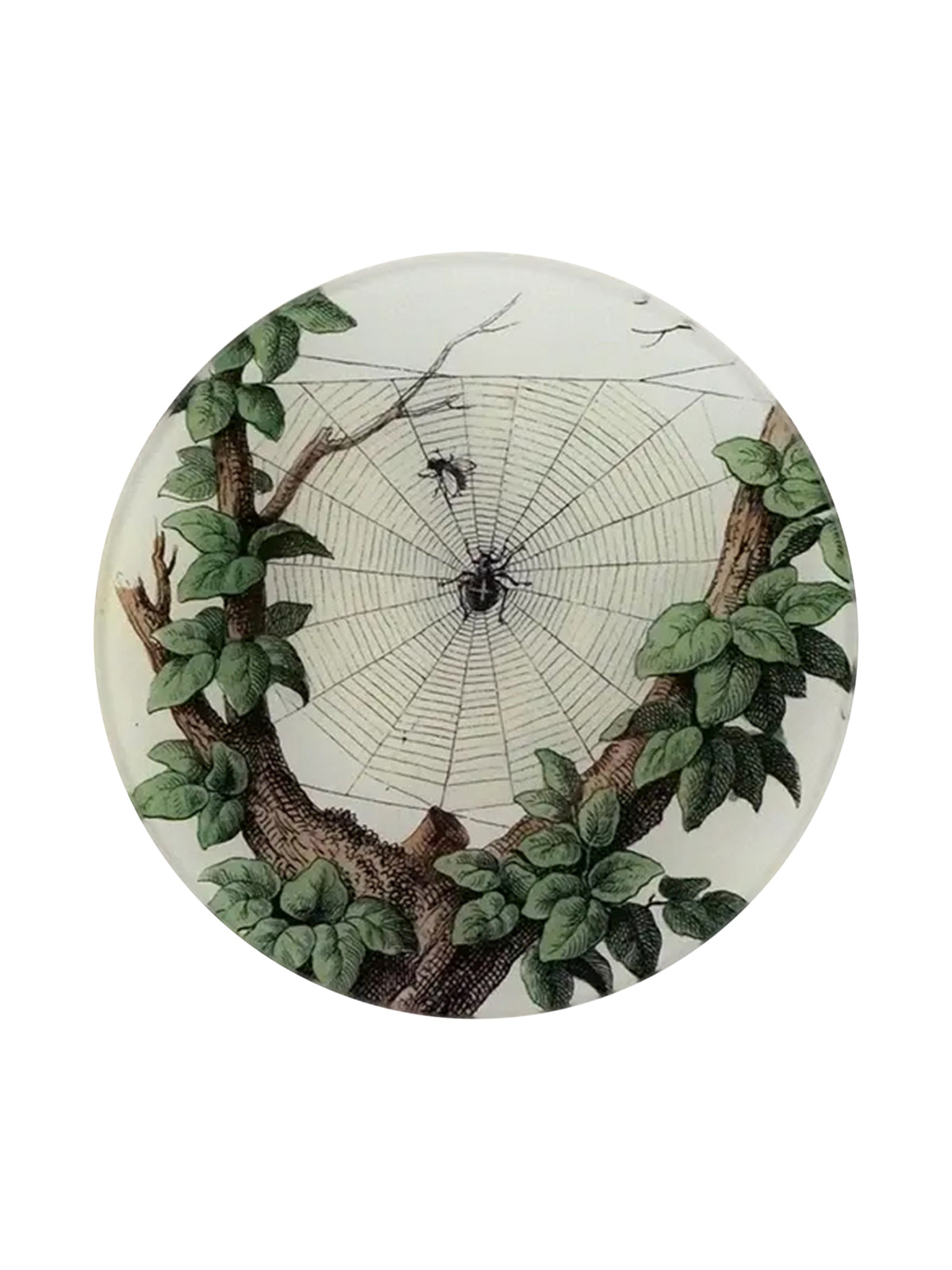 John Derian Leafy Web Round Plate Weston Table