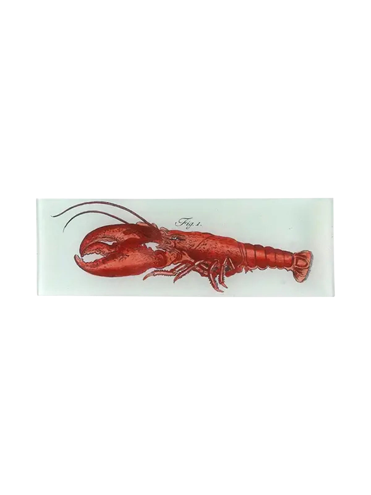John Derian Red Lobster Rectangular Tray Weston Table