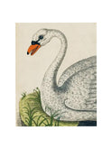 John Derian Swan Rectangular Tray One Weston Table