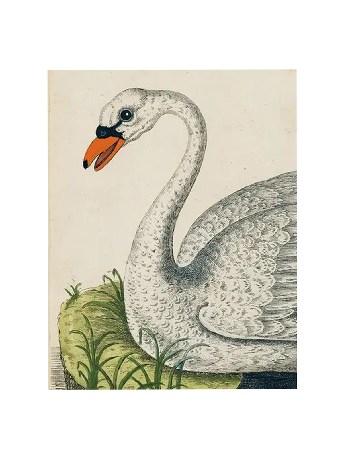 John Derian Swan Rectangular Tray One Weston Table