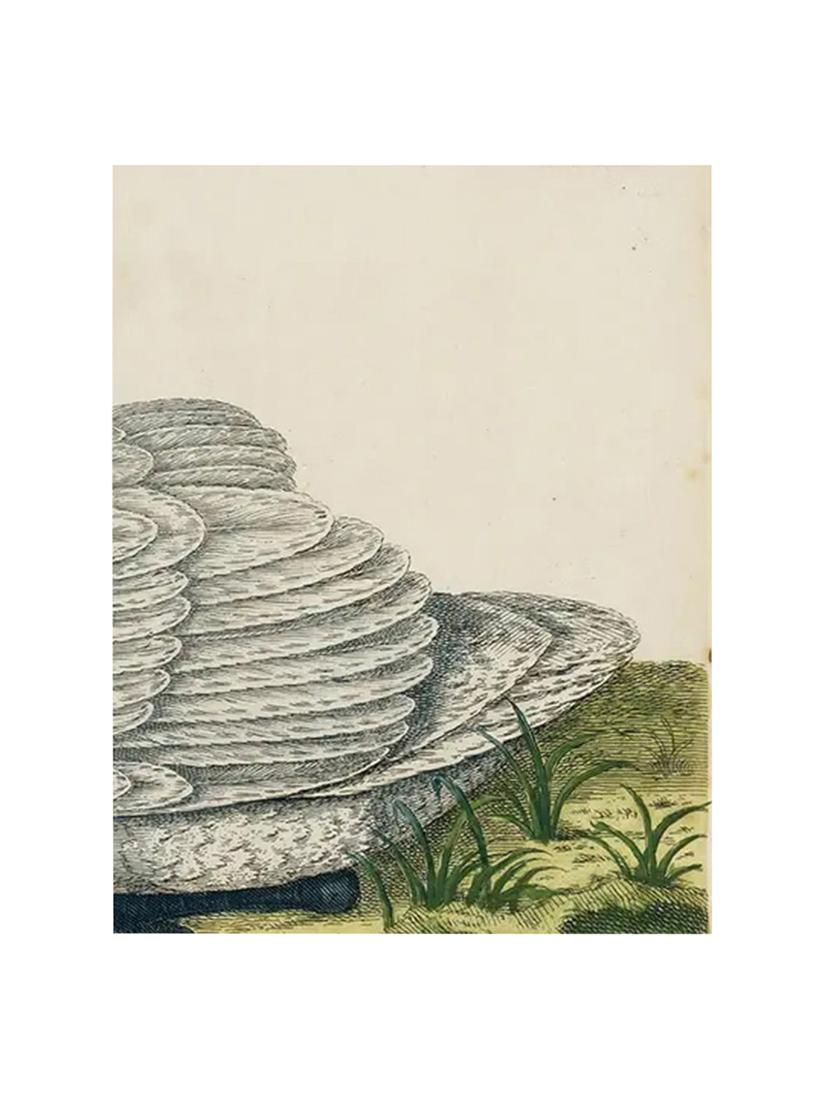 John Derian Swan Rectangular Tray Two Weston Table