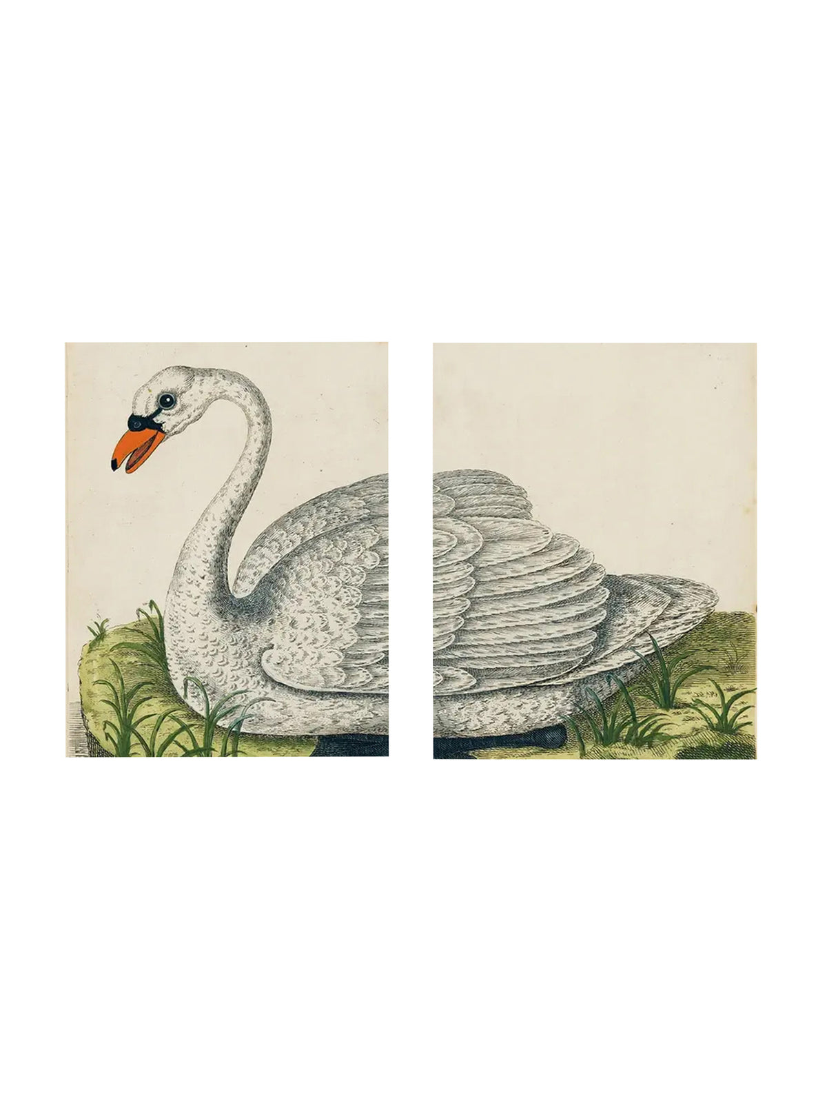 John Derian Swan Rectangular Trays Weston Table
