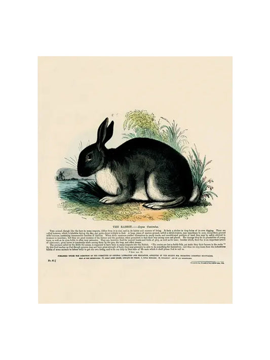 John Derian The Rabbit Rectangular Tray Weston Table