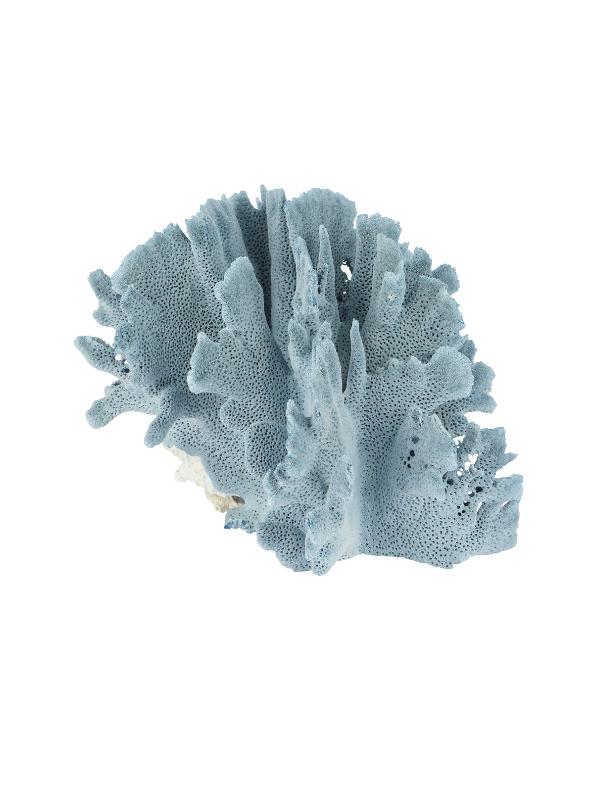 Light Blue Ridge Coral Cluster One Weston Table