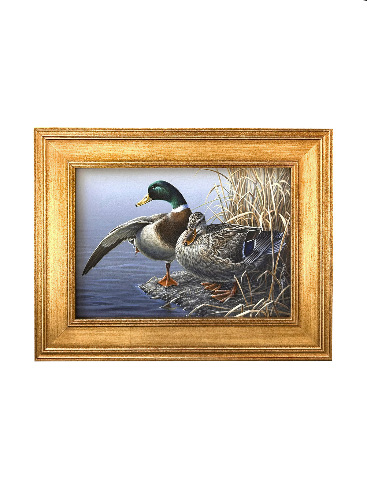Mallards Oil on Board Painting Paco Young Weston Table