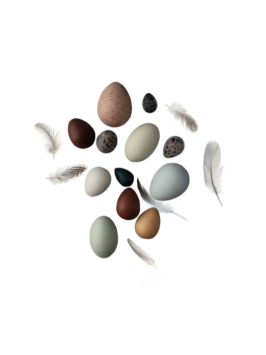 Moon Picnic Bird Eggs in a Basket Weston Table