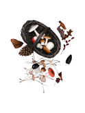 Moon Picnic Forest Mushrooms and Foraging Dark Basket Weston Table