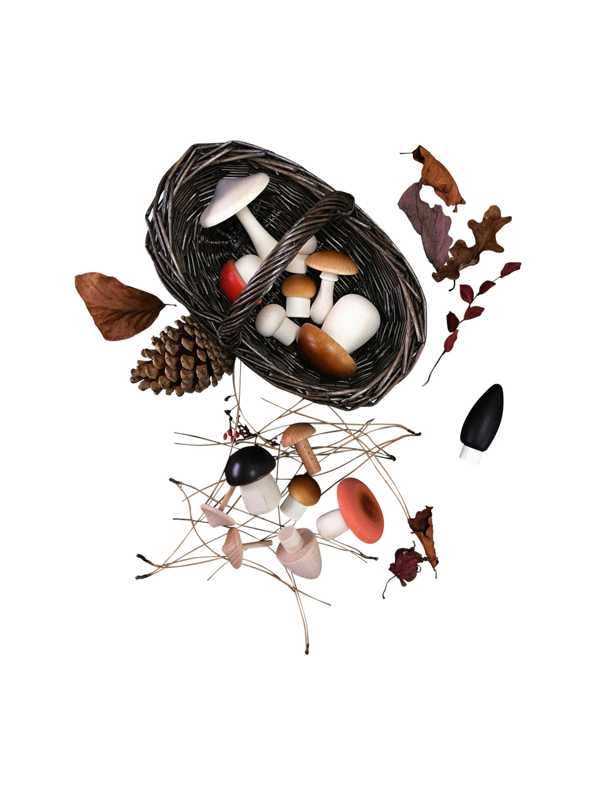 Moon Picnic Forest Mushrooms and Foraging Dark Basket Weston Table